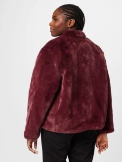 Vestes De Mi-saison Veste Mi-saison JANA Femme Lie De Vin -Noisy May 29ae8f7c9928a8bcb34d0ce9d4cec593