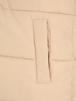 Vestes Sans Manches Gilet NEW DALCON Femme Beige -Noisy May d43387c0b4a98e57bcd230df1cb93ee6